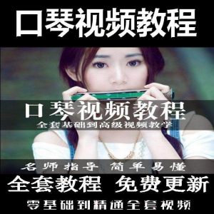 口琴自学教程视频零基础初学者入门到专业十孔24孔教学