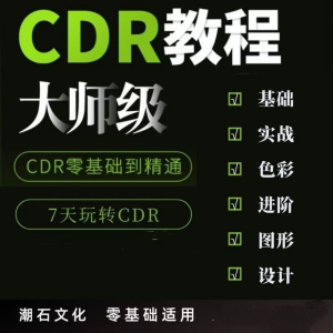 cdr教程视频Coreldraw自学平面设计广告排版零基础入门学习课程