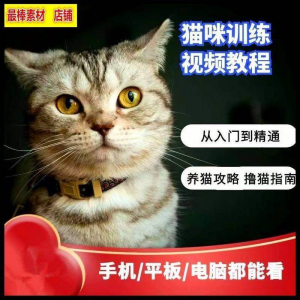 猫咪训练+养猫攻略大全技巧秘诀自学教程课程视频