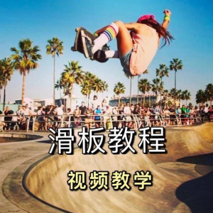 图片[1]-长板滑板双翘滑板教学视频教程初学者新手零基础入门自学花样刷街-淘宝虚拟仓