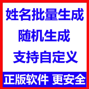姓名批量生成工具 用户名随机不重复生成软件 可自定义