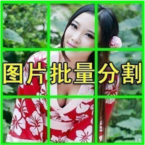图片[1]-图片批量切割软件 图片批量分割工具 批量切图器 图片批量裁剪-淘宝虚拟仓