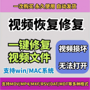 图片[1]-损坏MP4视频修复软件断电恢复工具短片导出摄像机视频文件修复-淘宝虚拟仓