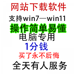 扒站扒网站扒网页扒全站下载修改下载软件克隆工具抓取拷贝单页-淘宝虚拟货源库