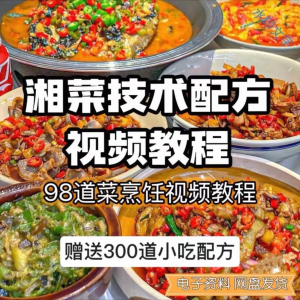 【0.01秒发】98道湘菜技术配方视频教程商用湖南菜炒菜特色小吃